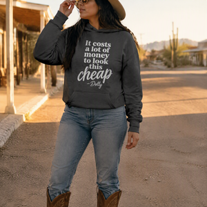 It Costs A Lot Of Money To Look This Cheap Graphic Hoodie — lifestyle hero