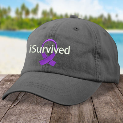 Domestic Violence iSurvived Hat