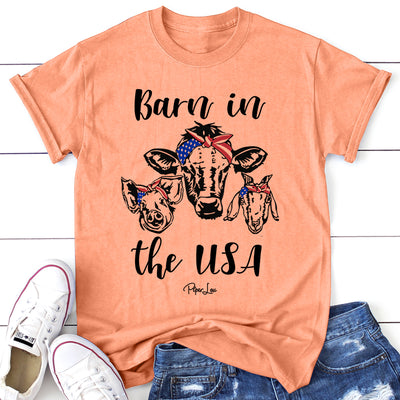 Barn In The USA